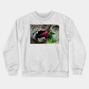 Pair Of Eclectus At The Nest Crewneck Sweatshirt